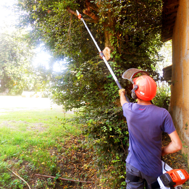 élageur avec une tronçonneuse élagueuse télescopique élageur avec une tronçonneuse élagueuse télescopique