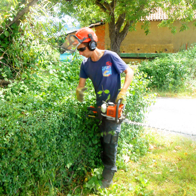 jeune homme avec un taille-haie jeune homme avec un taille-haie