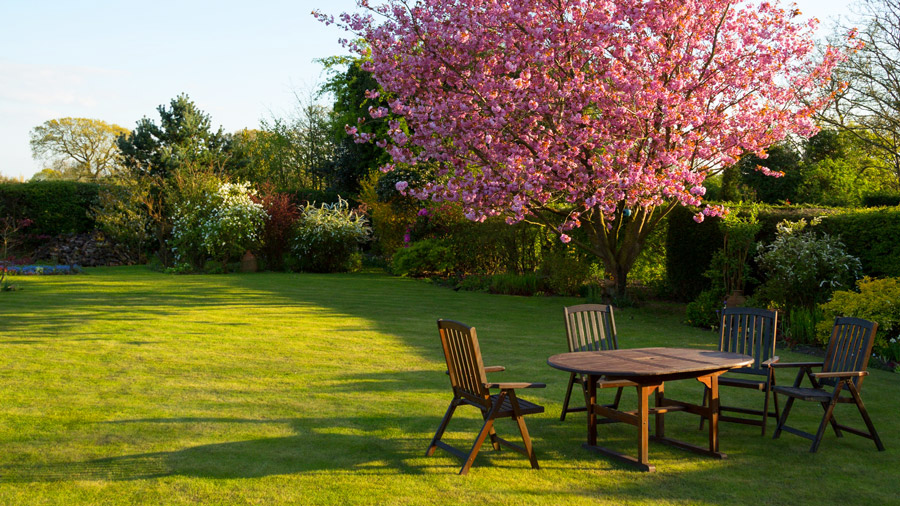 Jardin entretenu pelouse tondue, haie taillée et table de jardin Jardin entretenu pelouse tondue, haie taillée et table de jardin